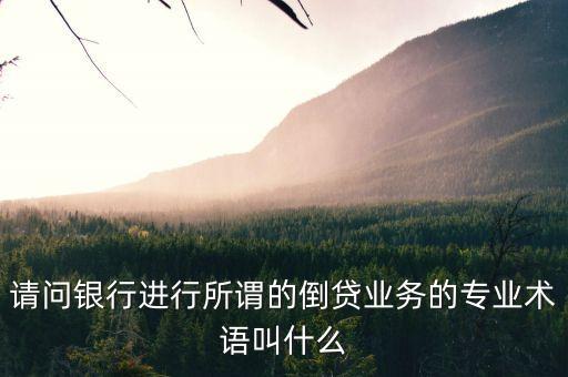 什么是倒借貸，請(qǐng)問(wèn)銀行進(jìn)行所謂的倒貸業(yè)務(wù)的專(zhuān)業(yè)術(shù)語(yǔ)叫什么