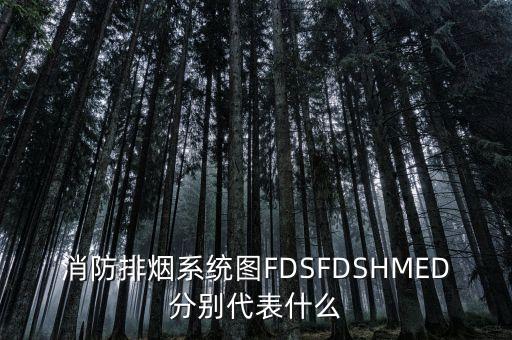 消防排煙系統(tǒng)圖FDSFDSHMED分別代表什么