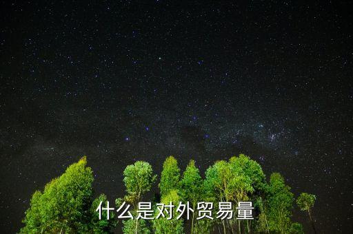 什么是對外貿(mào)易量