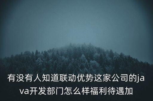 有沒(méi)有人知道聯(lián)動(dòng)優(yōu)勢(shì)這家公司的java開發(fā)部門怎么樣福利待遇加