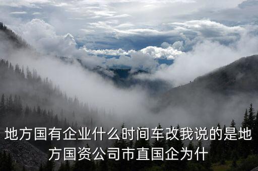 地方國(guó)有企業(yè)什么時(shí)間車改我說的是地方國(guó)資公司市直國(guó)企為什