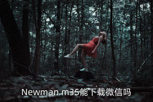 Newman m35能下載微信嗎