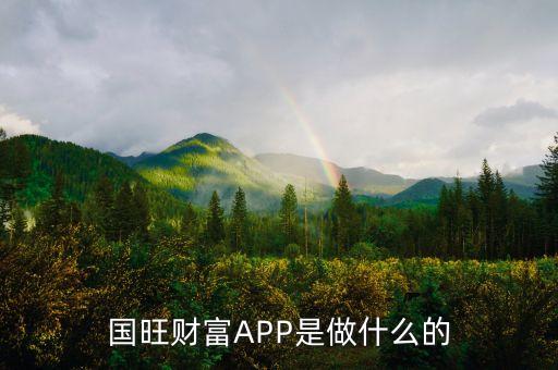 國(guó)旺財(cái)富APP是做什么的