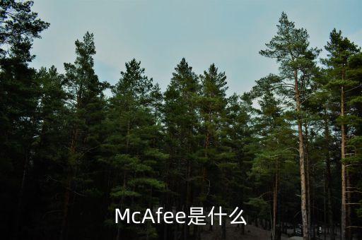 McAfee是什么