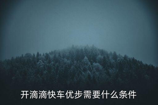 開滴滴快車優(yōu)步需要什么條件