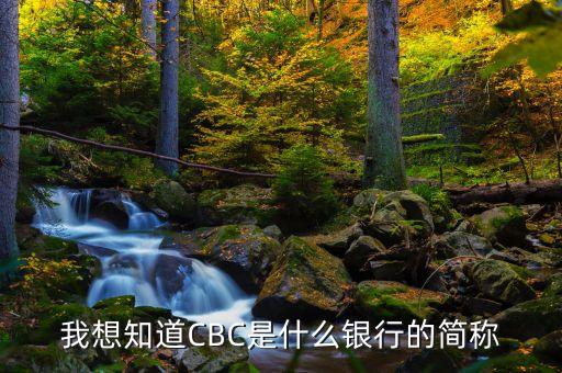 ctbc是什么銀行，CBC是什么銀行的縮寫啊謝謝