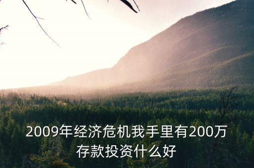 2009年經(jīng)濟危機我手里有200萬存款投資什么好