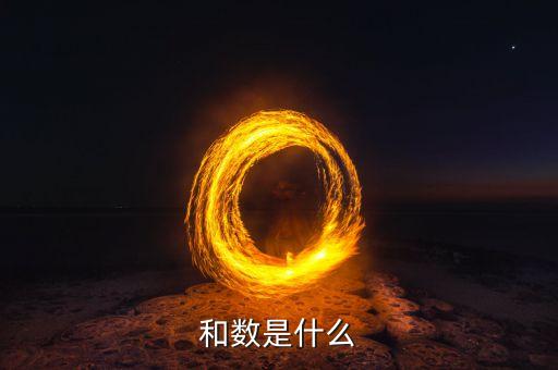 和數(shù)是什么