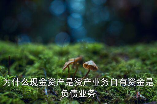 自有資金為什么是負(fù)債，為什么現(xiàn)金資產(chǎn)是資產(chǎn)業(yè)務(wù)自有資金是負(fù)債業(yè)務(wù)