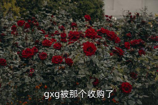 gxg為什么被收購(gòu)，gxg被那個(gè)收購(gòu)了