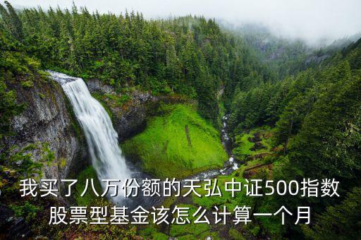 我買了八萬份額的天弘中證500指數(shù)股票型基金該怎么計算一個月