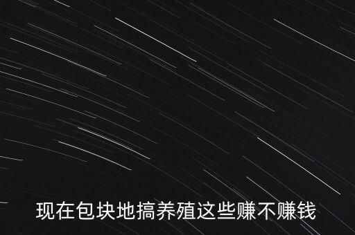 現(xiàn)在包塊地搞養(yǎng)殖這些賺不賺錢