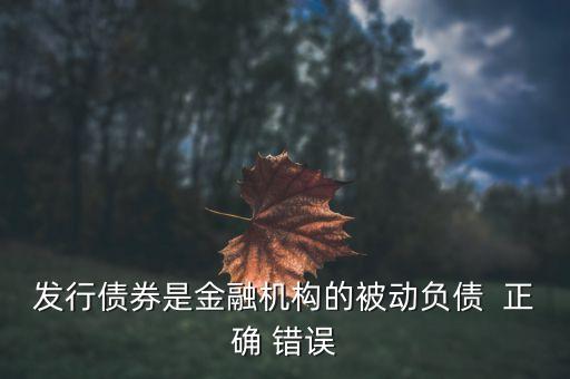 什么是金融機構(gòu)的主動負(fù)債，銀行主動負(fù)債是指些什么