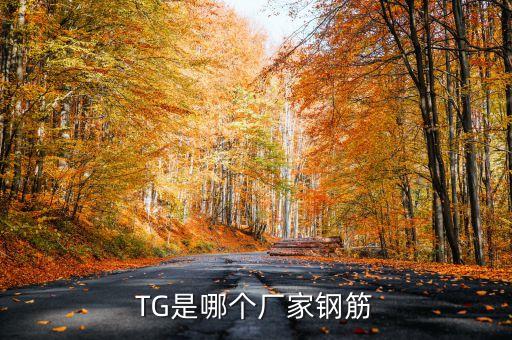 TG是哪個廠家鋼筋