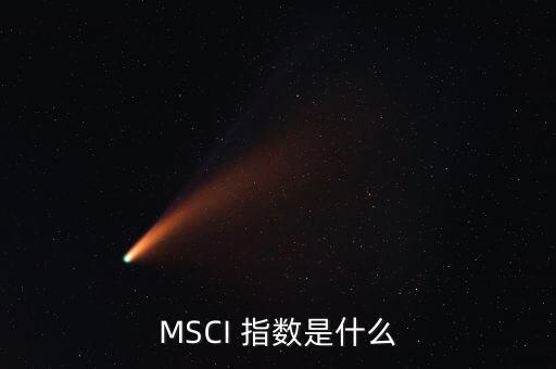 比爾指數(shù)是什么，MSCI 指數(shù)是什么