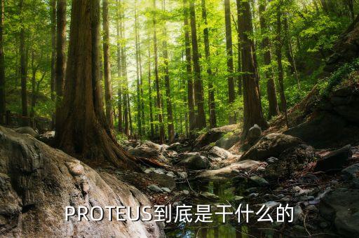 PROTEUS到底是干什么的