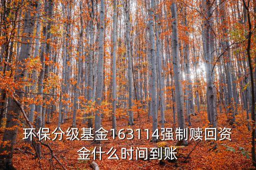 163114什么時候開盤，163114是個什么玩意啊賣也賣不出