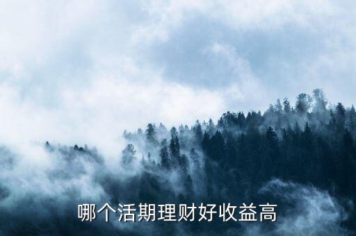 什么理財活期高，收益最高的活期理財產(chǎn)品都有哪些