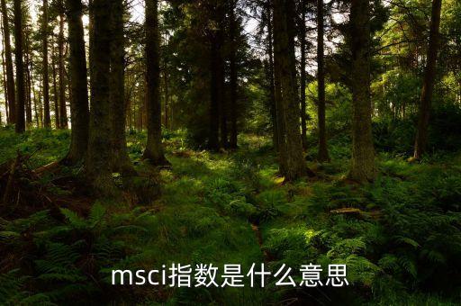 msci指數(shù)是什么意思