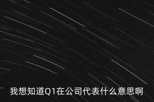 什么叫q2財報，我想知道Q1在公司代表什么意思啊