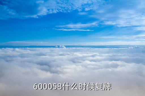 600058什么時(shí)候復(fù)牌