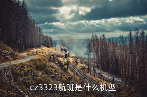 CZ2833飛機是什么機型，CZ3938航班是什么機型