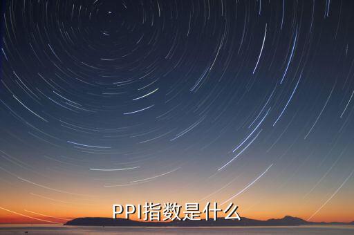 PPI指數(shù)是什么