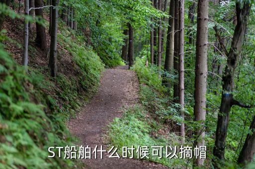 st民和什么時(shí)候摘帽，ST船舶什么時(shí)候可以摘帽