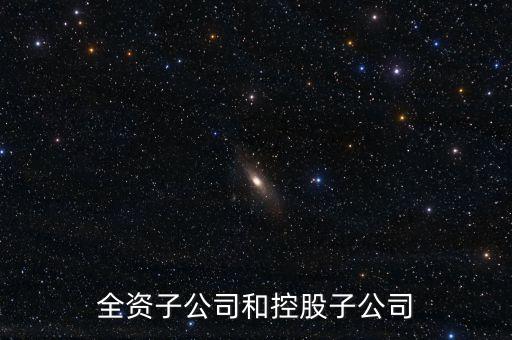 全資控股子公司是什么意思，全資子公司是怎么意思啊