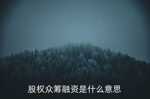 股權(quán)眾籌融資是什么意思