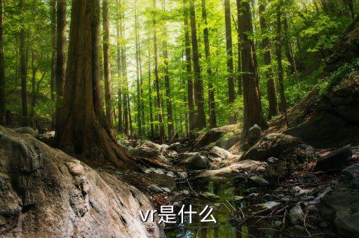 vr到底是什么，VR是什么跪求完整答案