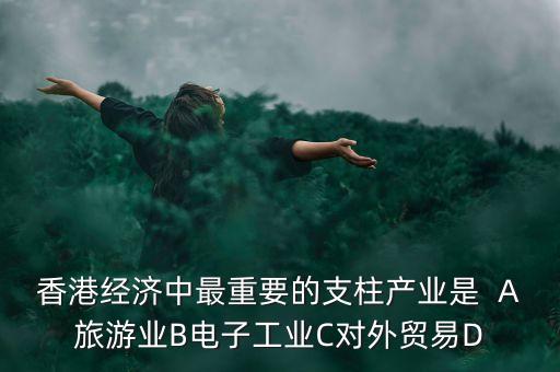 香港經(jīng)濟(jì)中最重要的支柱產(chǎn)業(yè)是  A旅游業(yè)B電子工業(yè)C對(duì)外貿(mào)易D