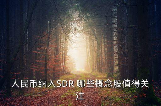 人民幣納入SDR 哪些概念股值得關(guān)注