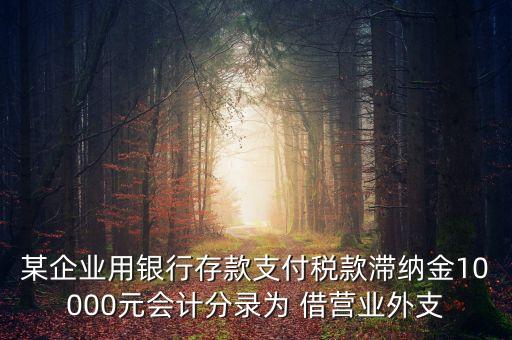 某企業(yè)用銀行存款支付稅款滯納金10000元會(huì)計(jì)分錄為 借營業(yè)外支