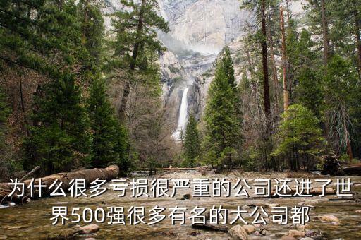 為什么很多虧損很嚴重的公司還進了世界500強很多有名的大公司都