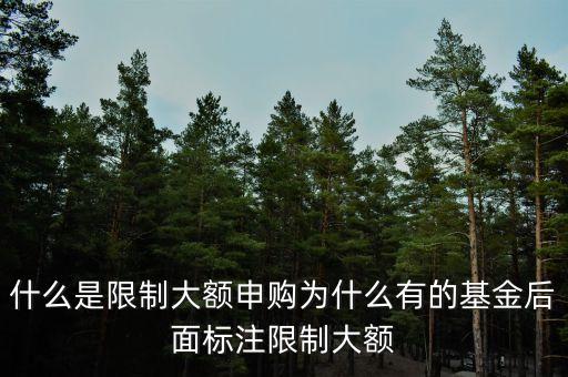 為什么限制大額申購，為什么限制大額定期定額申購