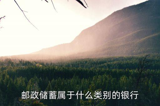 郵政儲(chǔ)蓄屬于什么類別的銀行