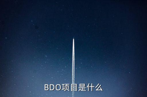 BDO項目是什么