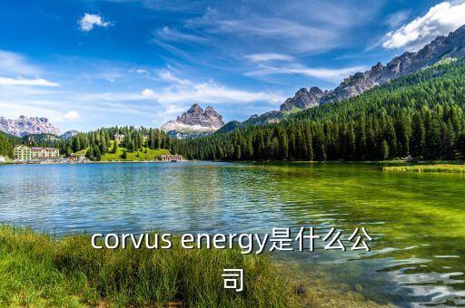 凱富能源是什么公司，corvus energy是什么公司