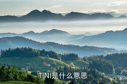 tni是什么，TINI是什么意思