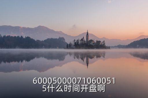 600050000710600515什么時間開盤啊