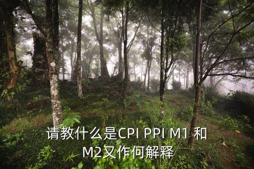 m2指數(shù)是什么，請(qǐng)教什么是CPI PPI M1 和 M2又作何解釋