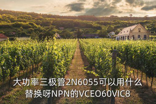 大功率三極管2N6055可以用什么替換呀NPN的VCEO60VIC8