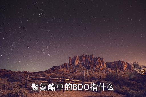 bdo工藝中的byd溶液是指什么，BDO項(xiàng)目是什么