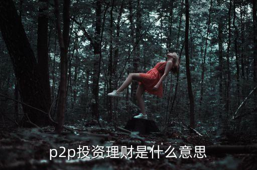 p2p投資理財(cái)是什么意思