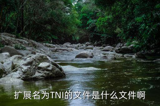 擴展名為TNI的文件是什么文件啊