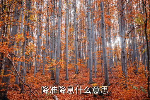 降準(zhǔn)降息什么意思