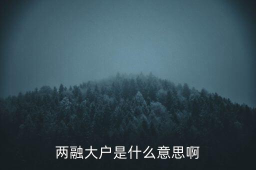 兩融大戶是什么意思啊