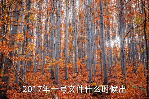 2017年一號文件什么時候出