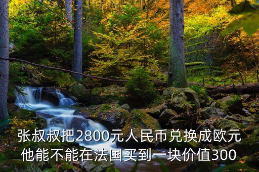 張叔叔把2800元人民幣兌換成歐元他能不能在法國買到一塊價(jià)值300